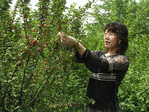 说明: http://www.luojianshan.com/teacher-info/personal%20info/photo/kongfengjun.JPG